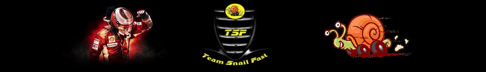 Team Snail Fast